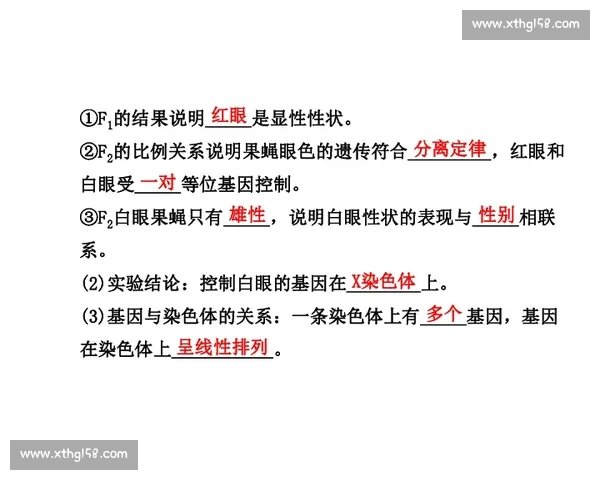 比赛暂停背后的策略与心理博弈解析全程剖析
