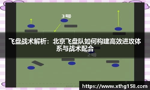 飞盘战术解析：北京飞盘队如何构建高效进攻体系与战术配合