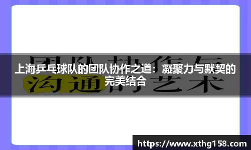 上海乒乓球队的团队协作之道：凝聚力与默契的完美结合