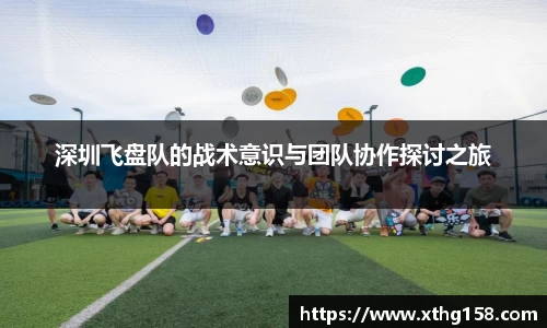 深圳飞盘队的战术意识与团队协作探讨之旅