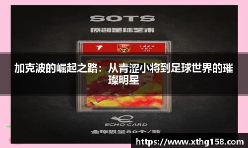 BB贝博艾佛森