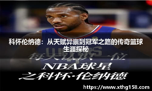 BB贝博登录入口