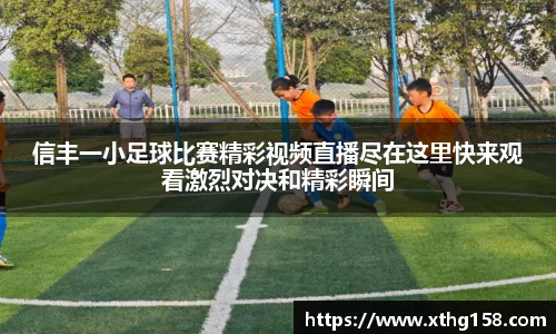BB贝博登录入口